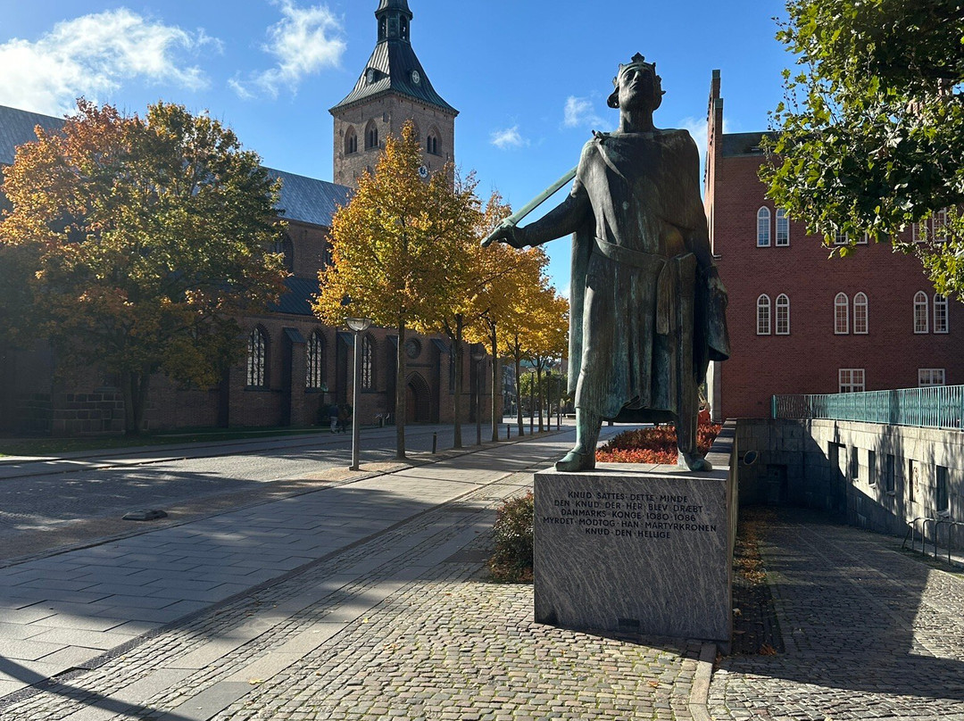 Odense Cathedral - Sct. Knuds Church-欧登塞必去景点