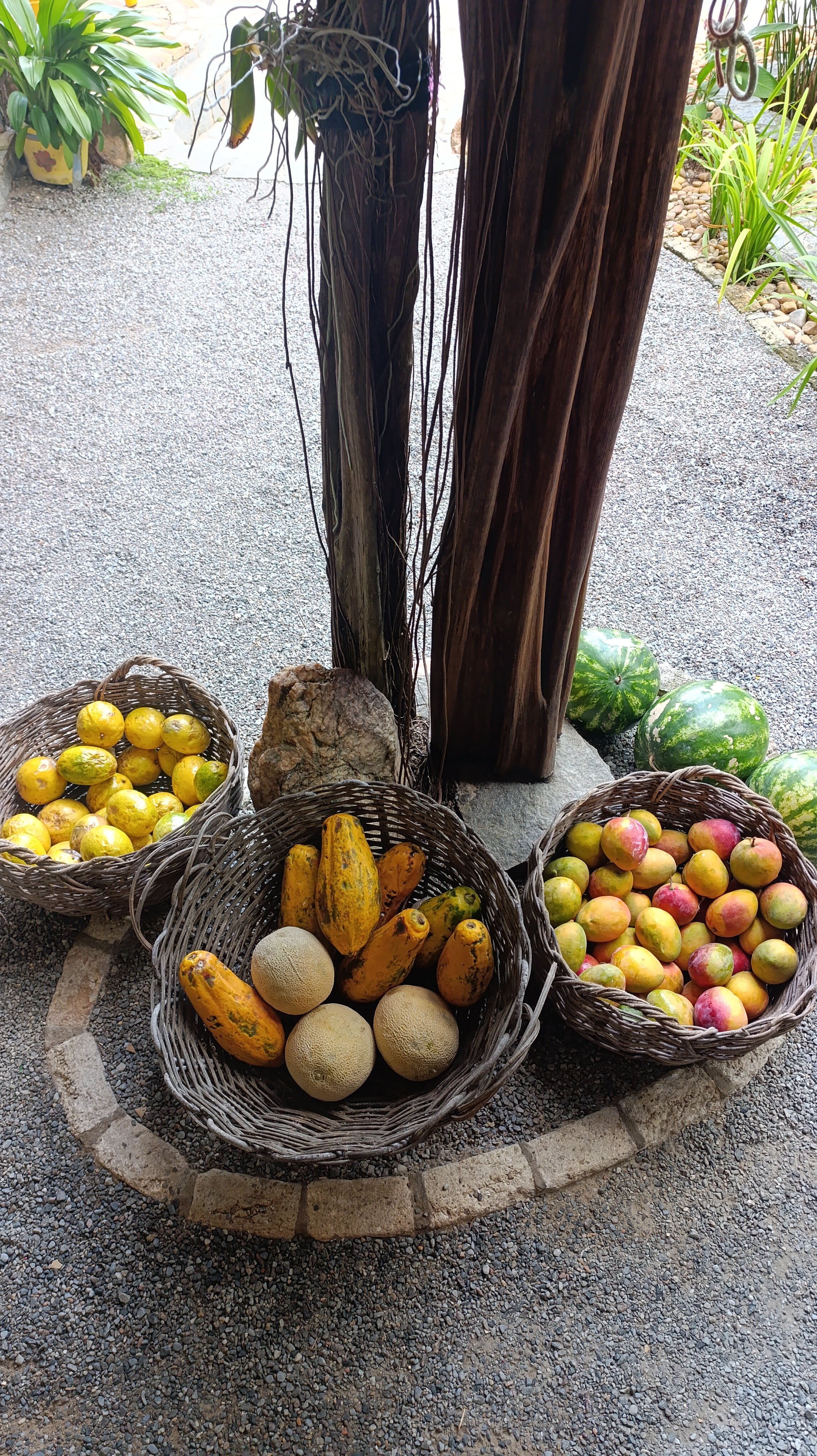 Pousada La Bonita-官方