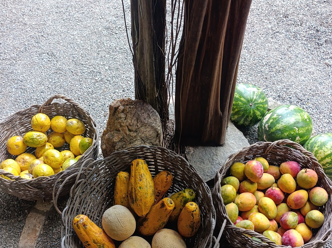 Pousada La Bonita主图