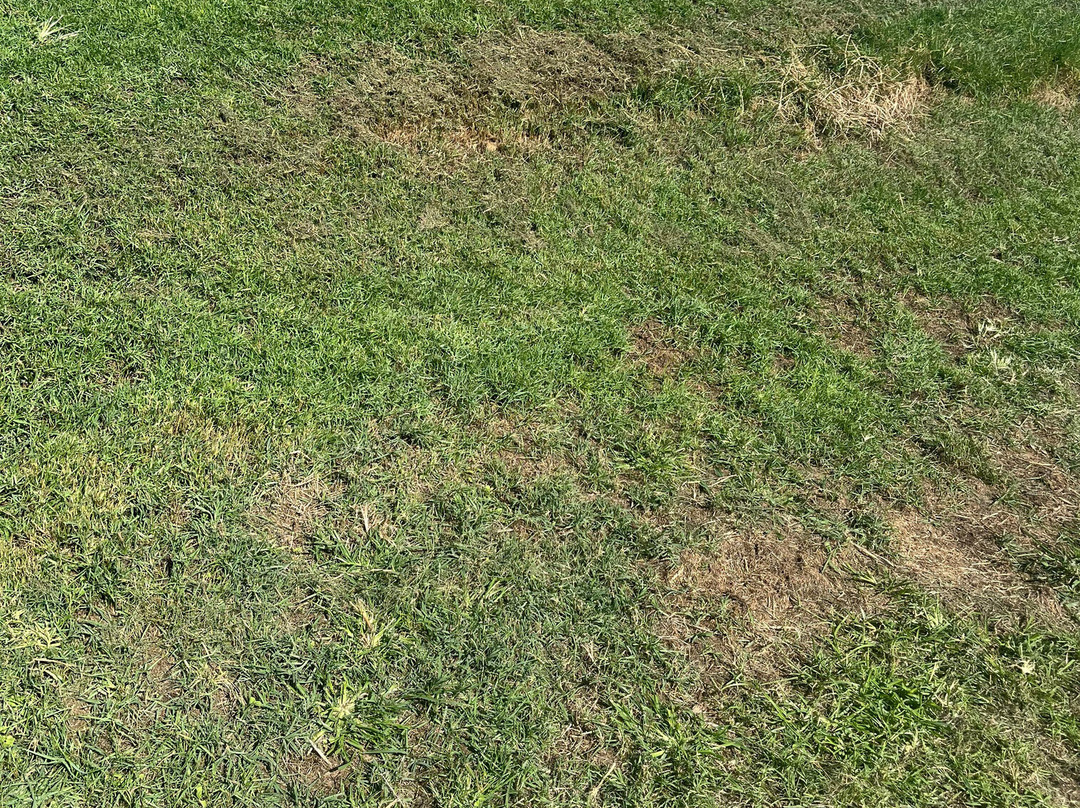 Lykia Links Golf-安塔利亚必去景点