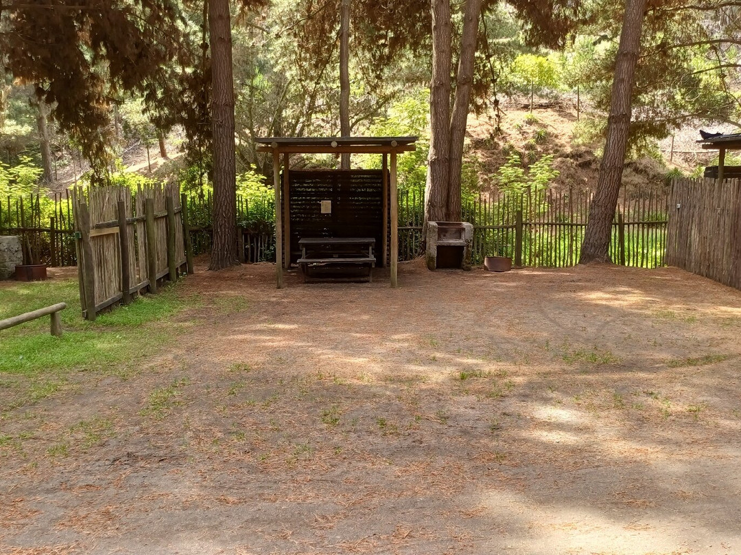 OMZ Olas de Matanzas主图