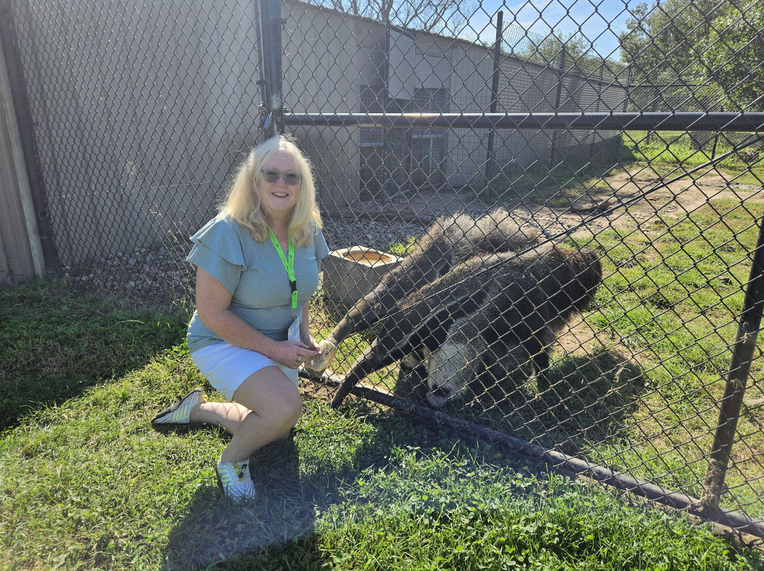 Tanganyika Wildlife Park-Goddard必去景点