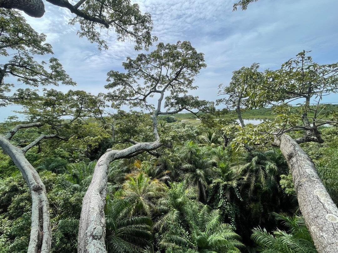 Ibou piroguier et guide touristique