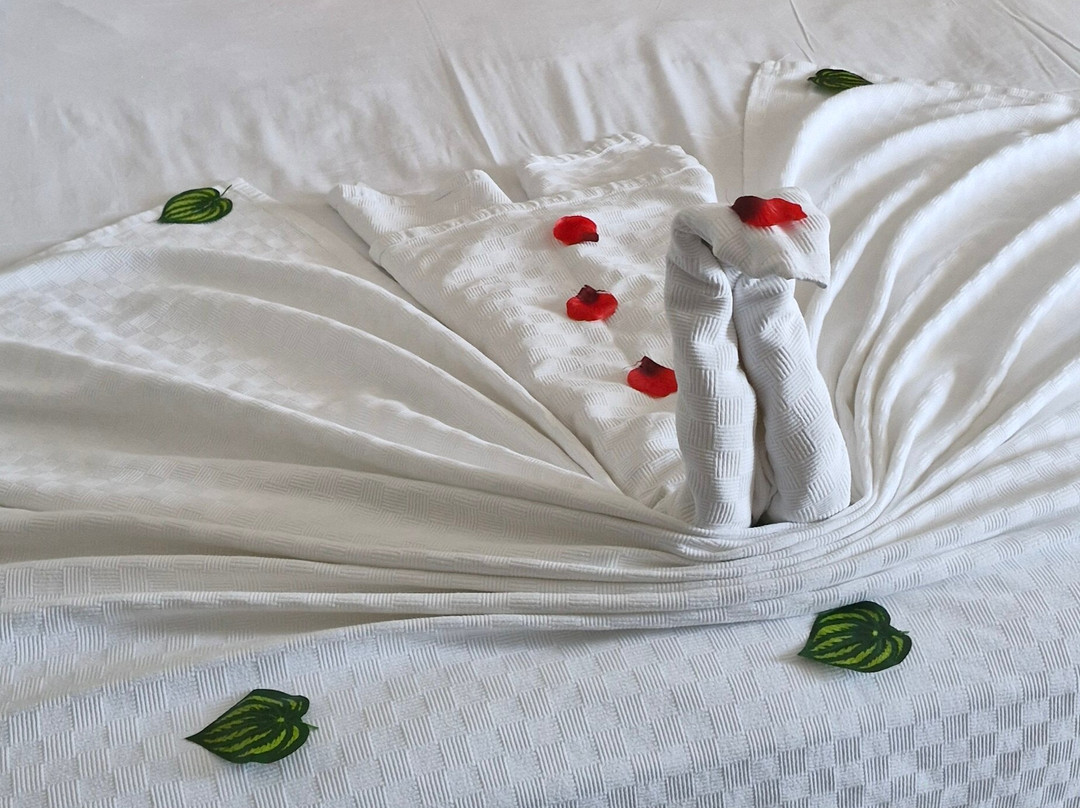 Sidemarin Kirman Premium主图