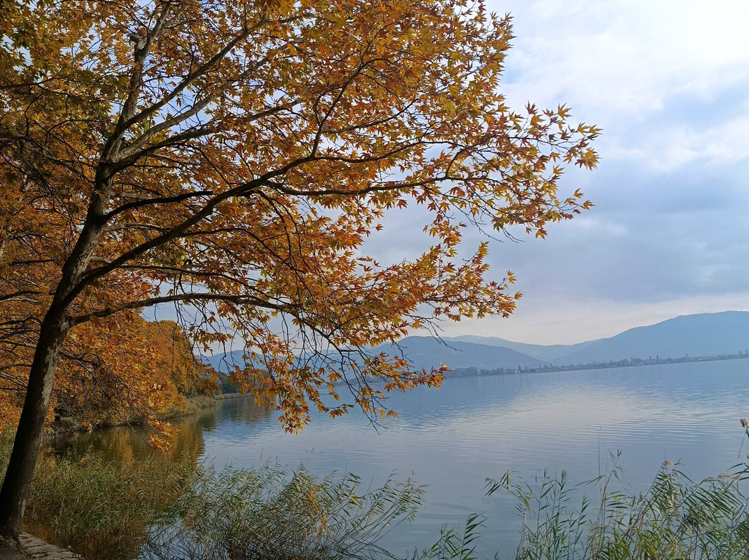 Kastoria Lake-卡斯托里亚必去景点
