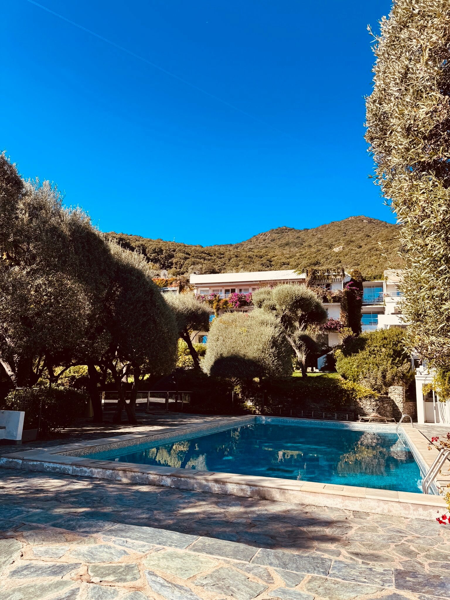 皮特拉卡普酒店-官方