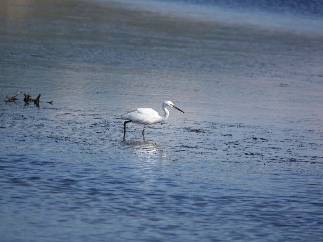 Halikounas Beach-Chalikounas必去景点