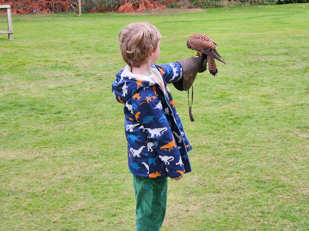 Dalhousie Castle Falconry-邦尼里格必去景点