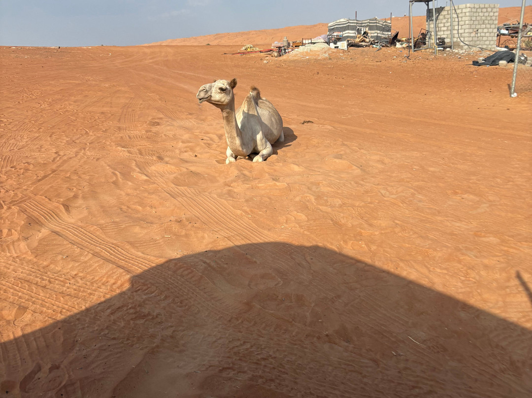 Star Tours Oman-马斯喀特必去景点
