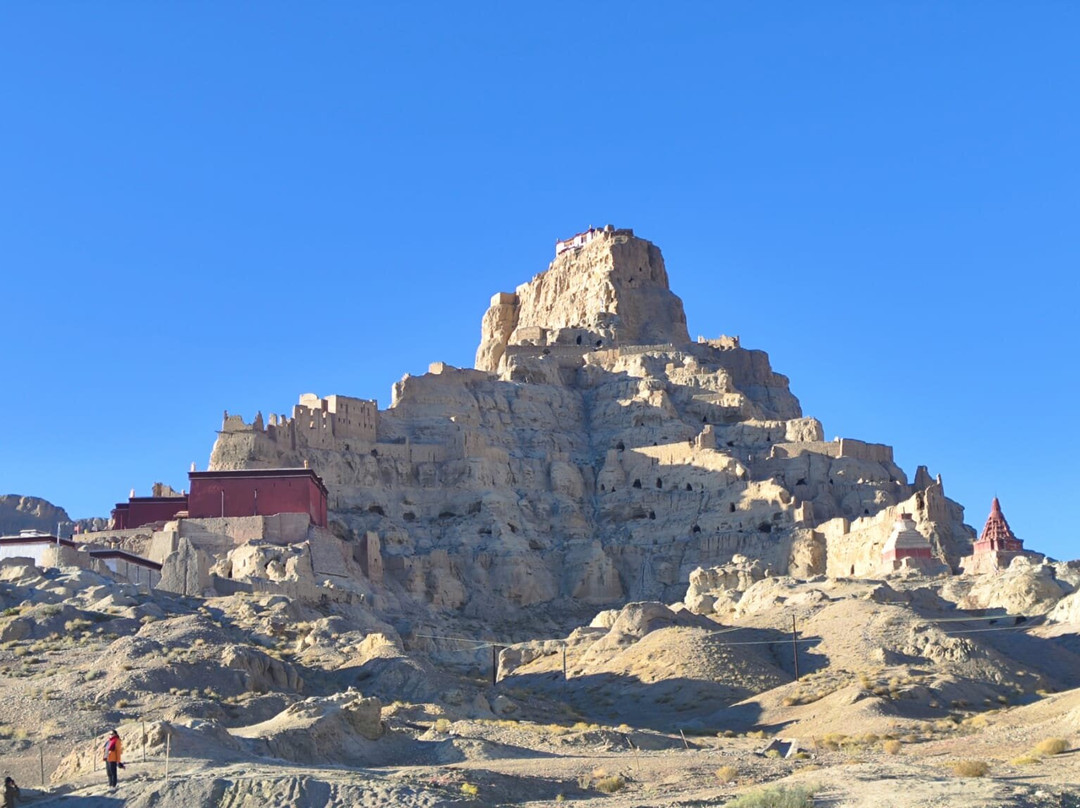 Xizang Focus Travel & Tours-拉萨市必去景点