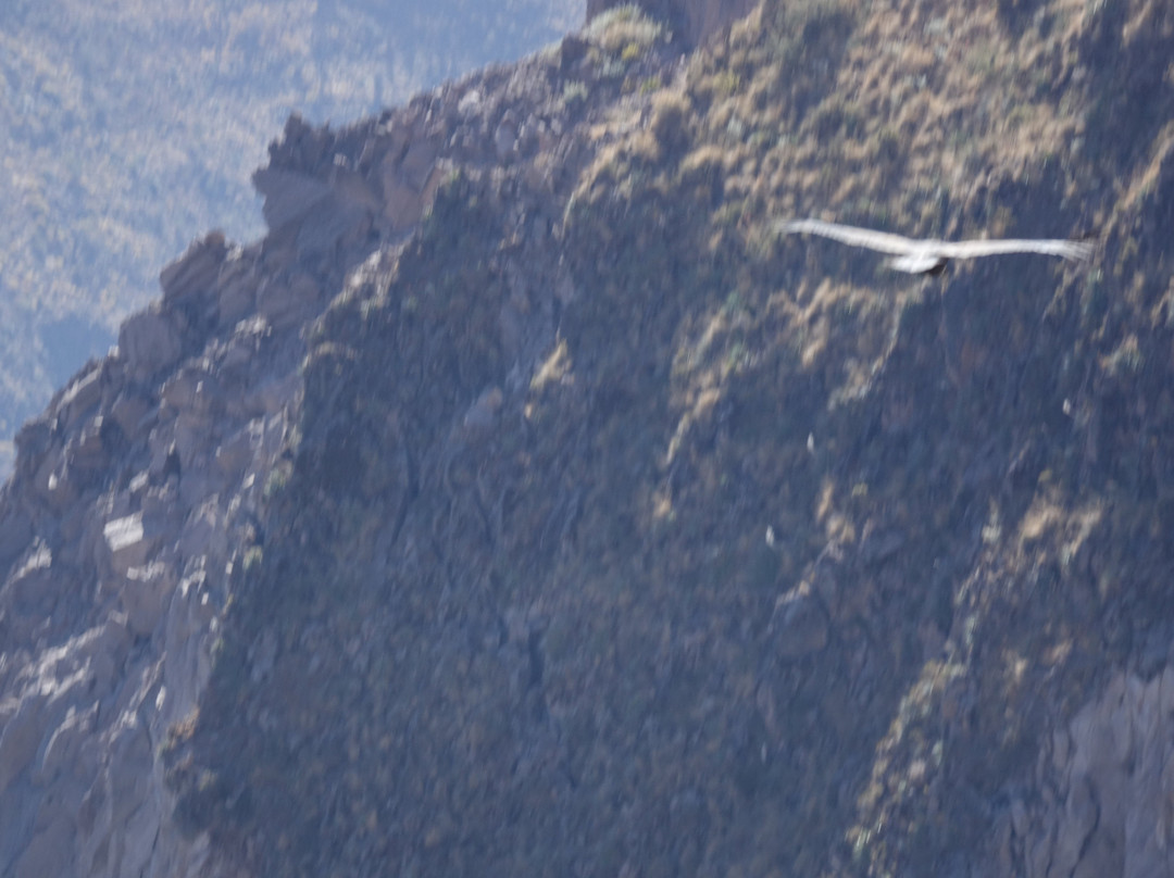 Mirador Cruz del Condor-Cabanaconde必去景点