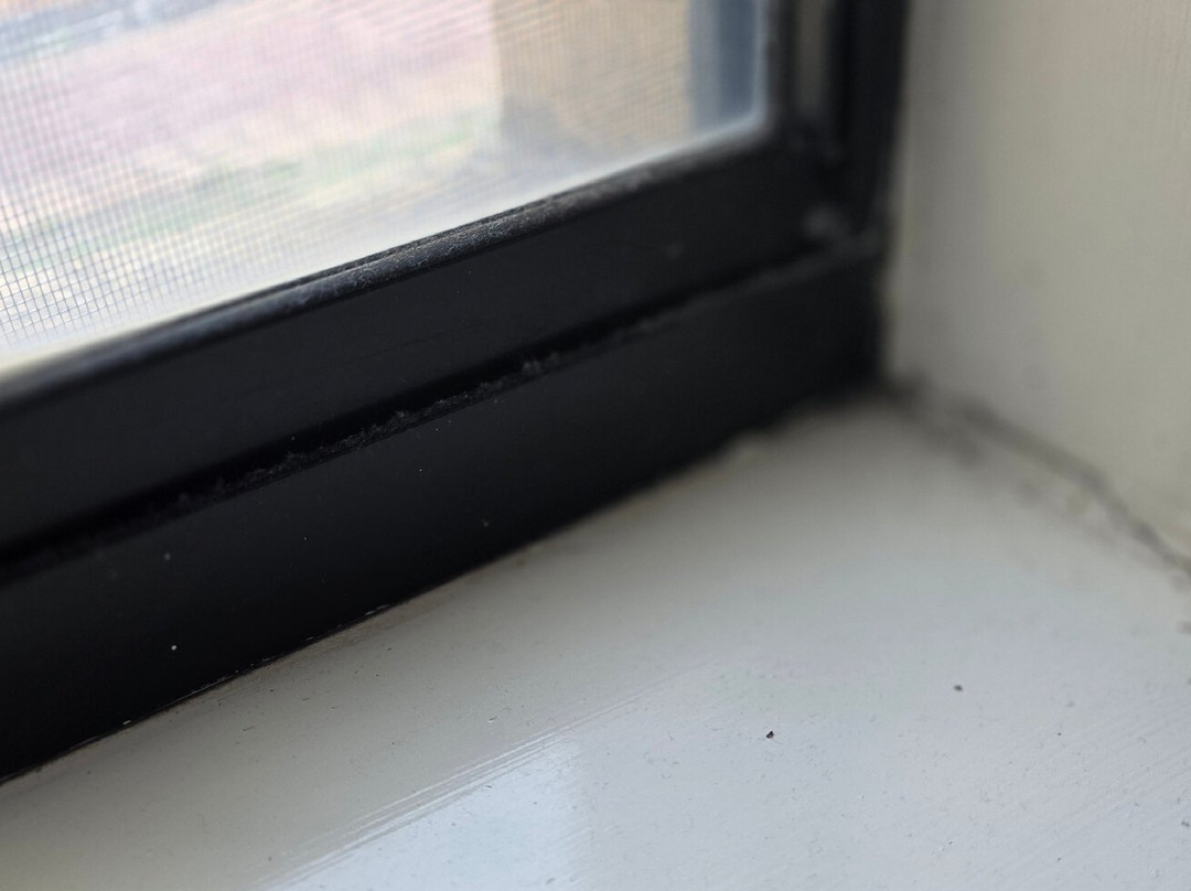 Country Comfort Perth主图