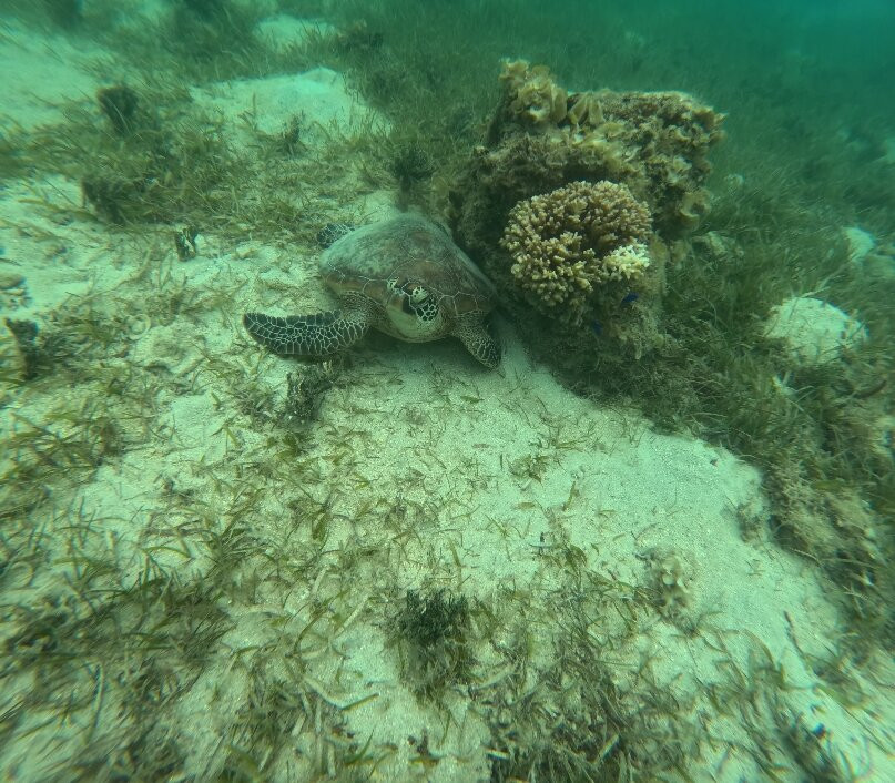 Ilot Maitre-Ilot Maitre必去景点