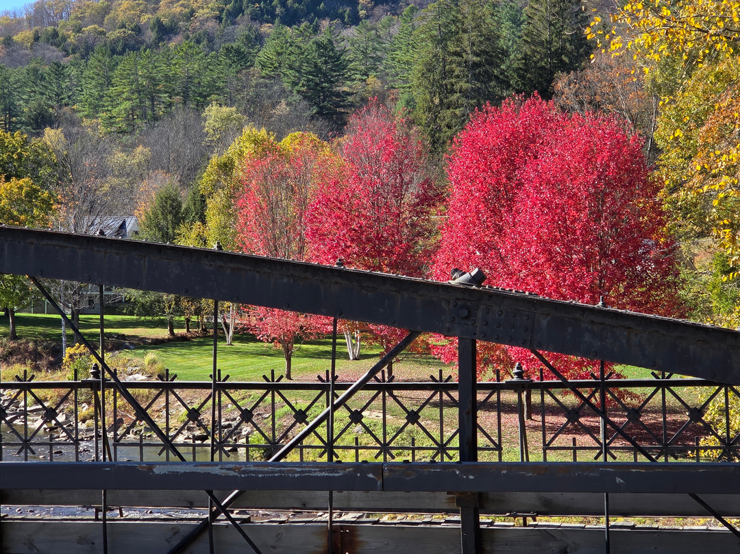 Great Bike Tours-谢尔本必去景点