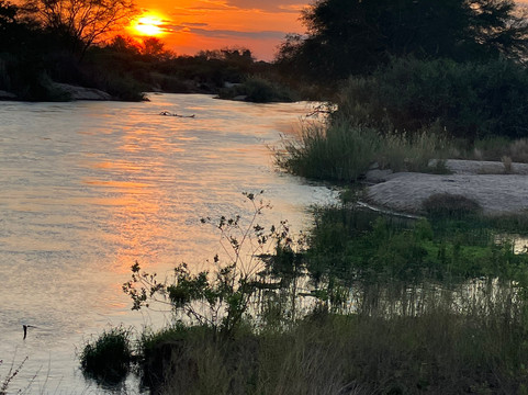 Simon & Pumba Safari's-内罗毕必去景点