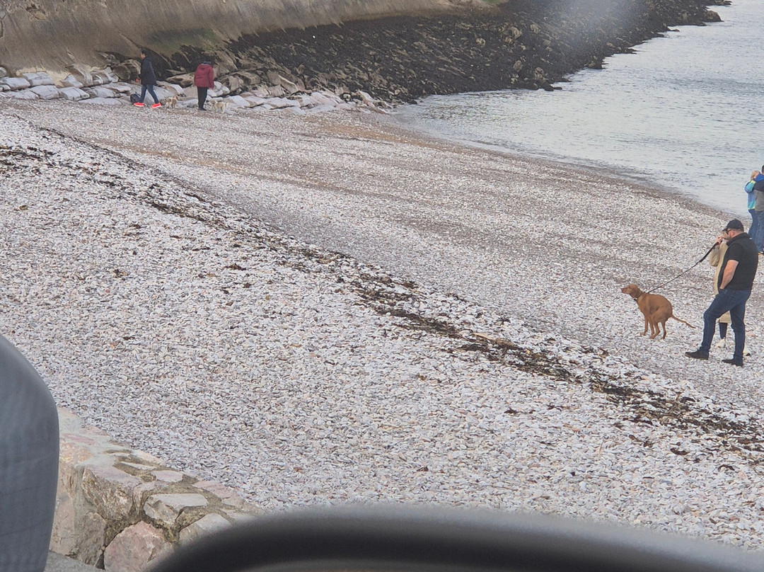 Breakwater Beach-布里克瑟姆必去景点