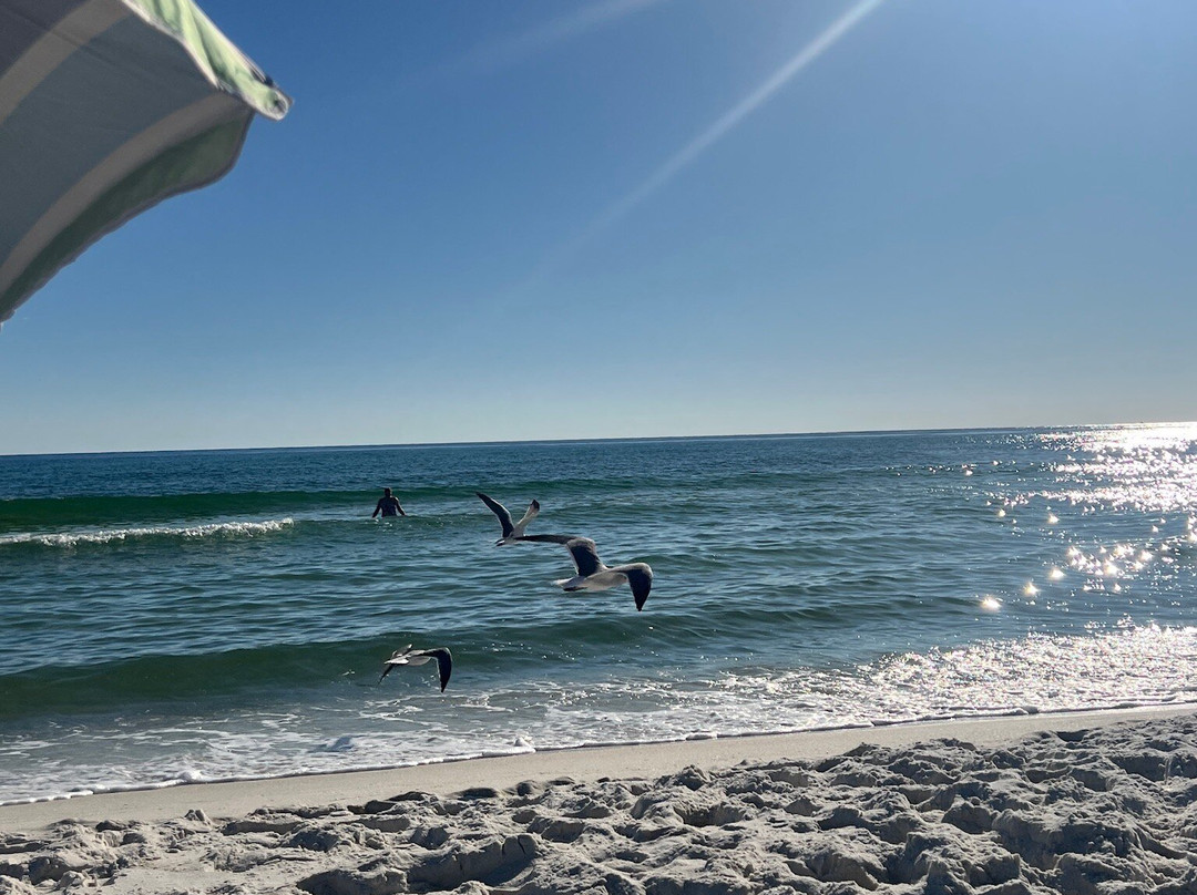 Inlet Beach-Sunnyside必去景点