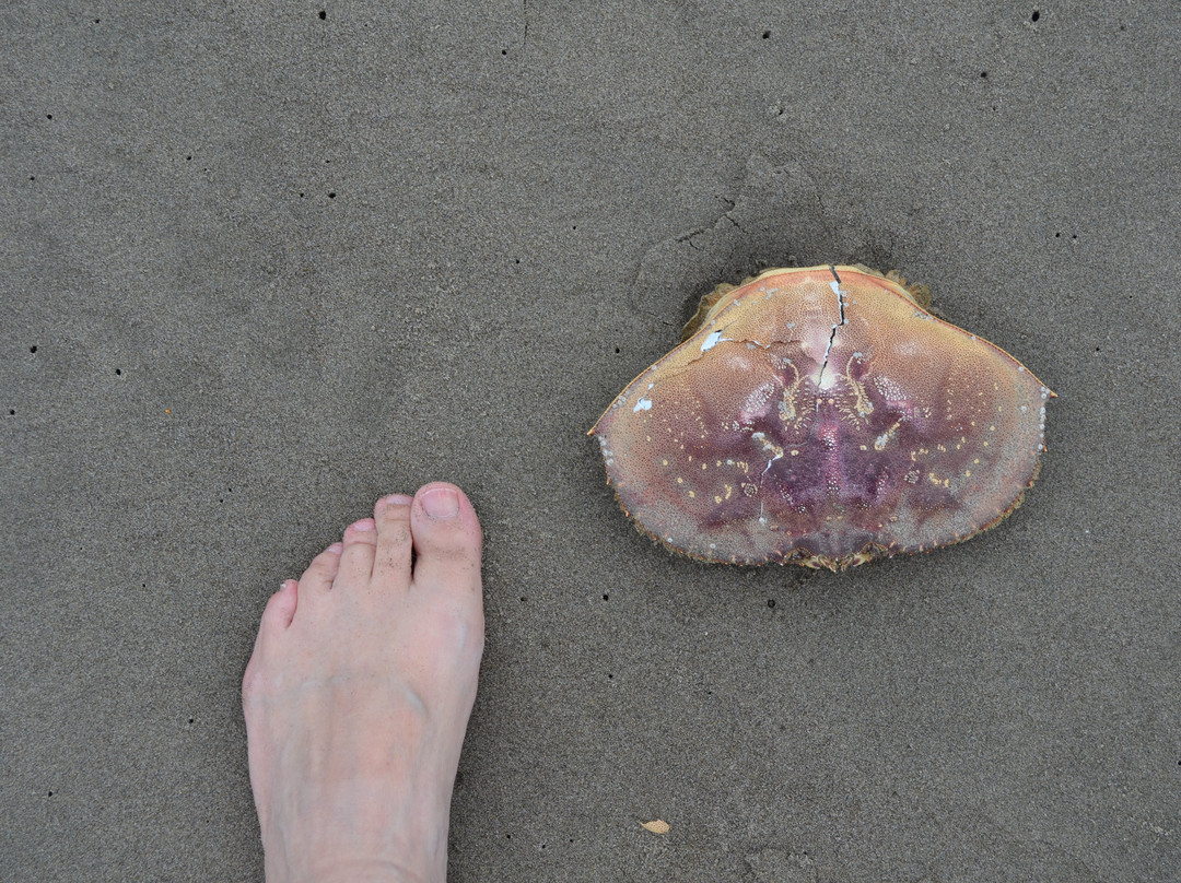Seaside Beach Oregon-锡赛德必去景点