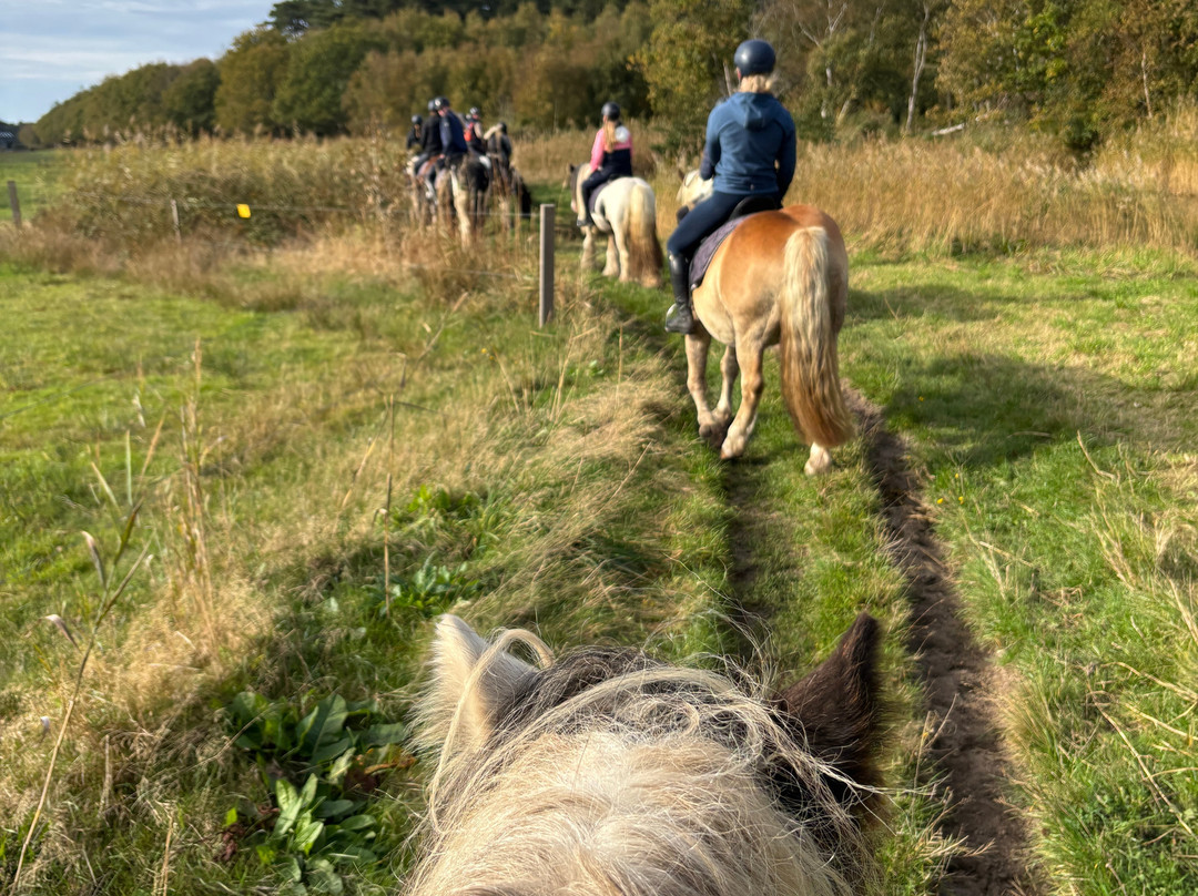 Manege Elzenhof-德科赫必去景点
