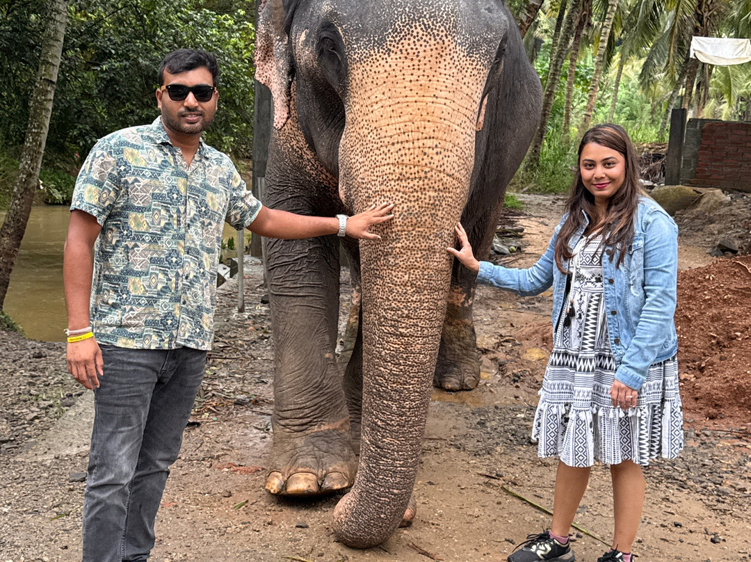 Beauty Island Lanka Travels-Wattegama必去景点