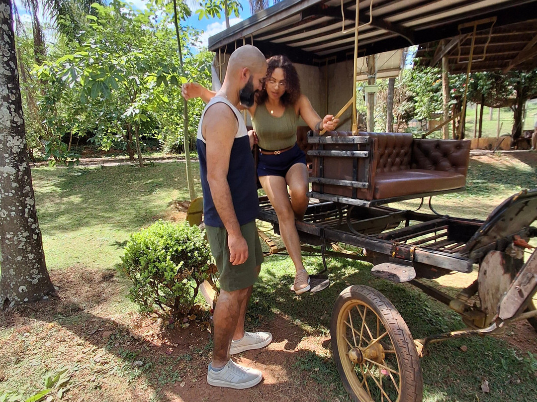 Fazendinha Zoomix-Franca必去景点