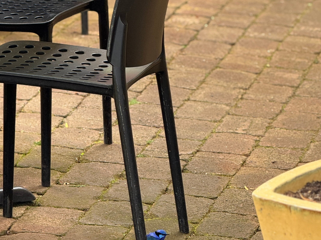 Berry Farm-玛格丽特河必去景点