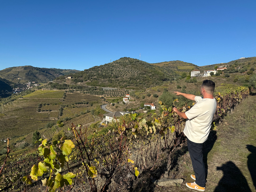 Gueda Wines-佩苏达雷瓜必去景点