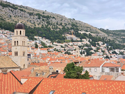 Octopus Transfers-扎达尔必去景点