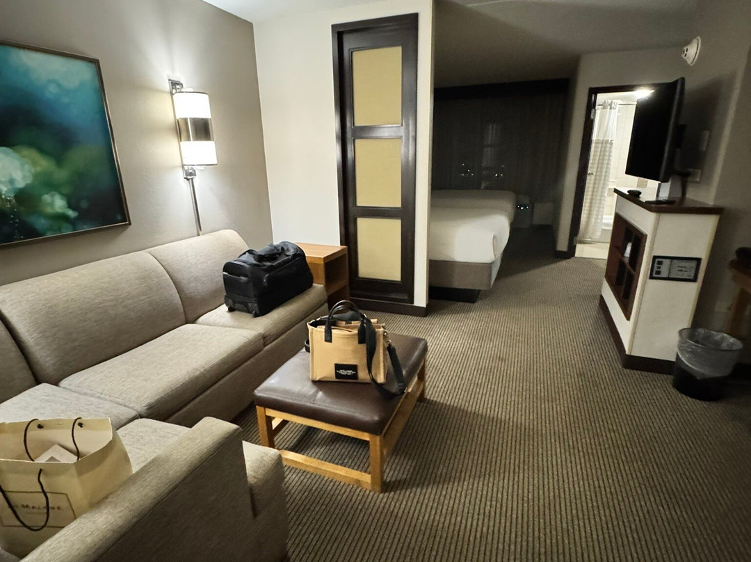 芝加哥/隆巴德君悦酒店主图