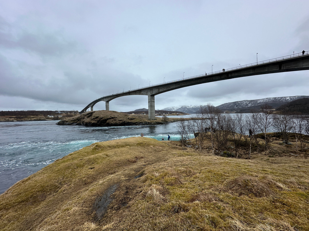 索厄特特劳门酒店-Saltstraumen必去景点