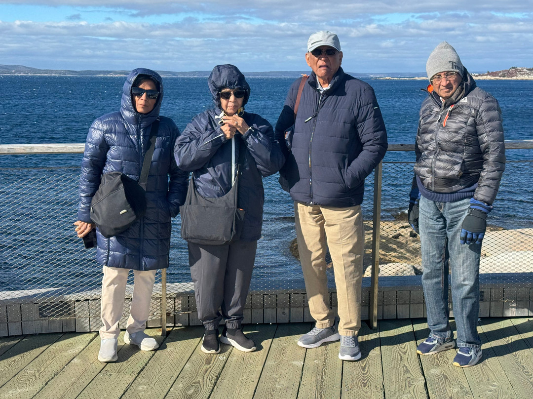 VGO Tour-圣约翰必去景点