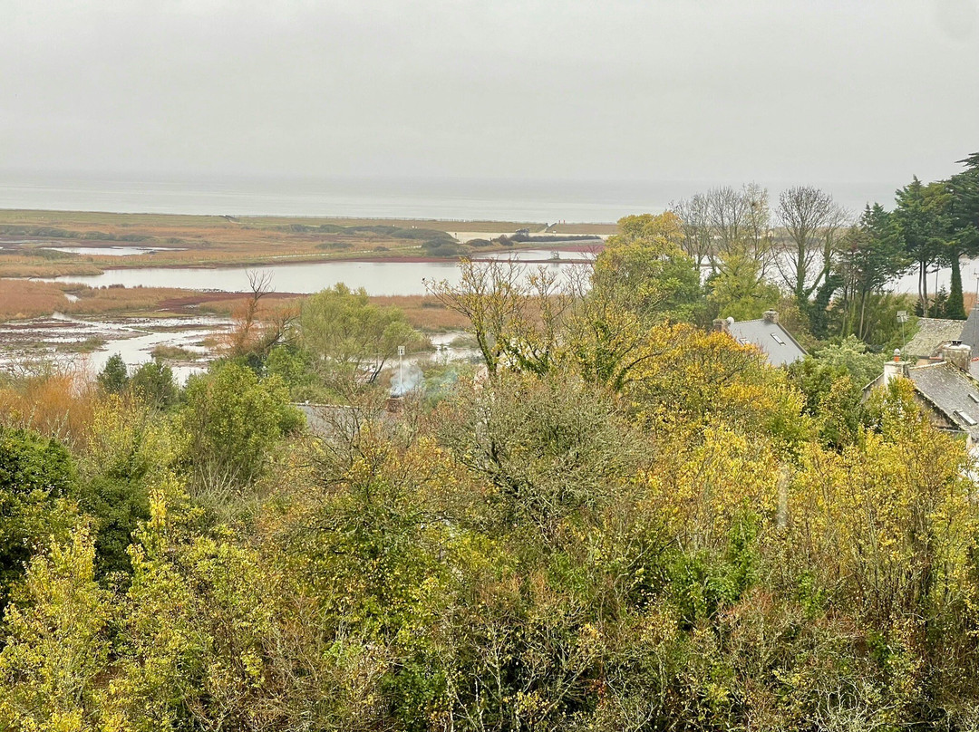 Chateau Suscinio-Sarzeau必去景点