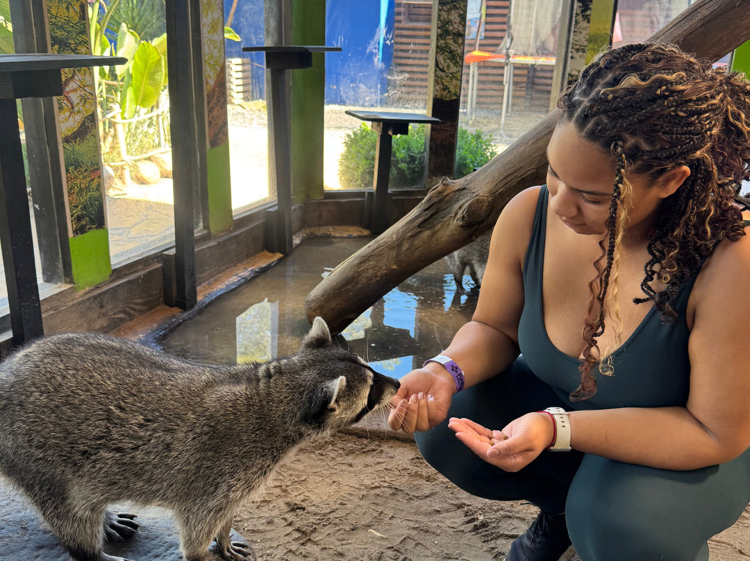 Pai Pai Ecotourism Park-恩塞纳达必去景点