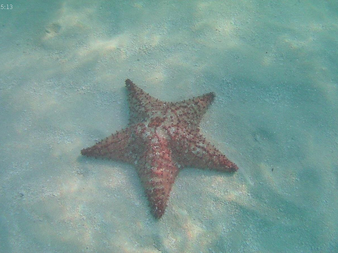 Mariposa Tours-Bayahibe必去景点