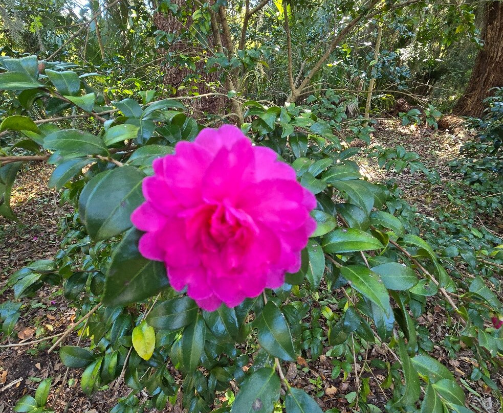 Coastal Discovery Museum-希尔顿头岛必去景点