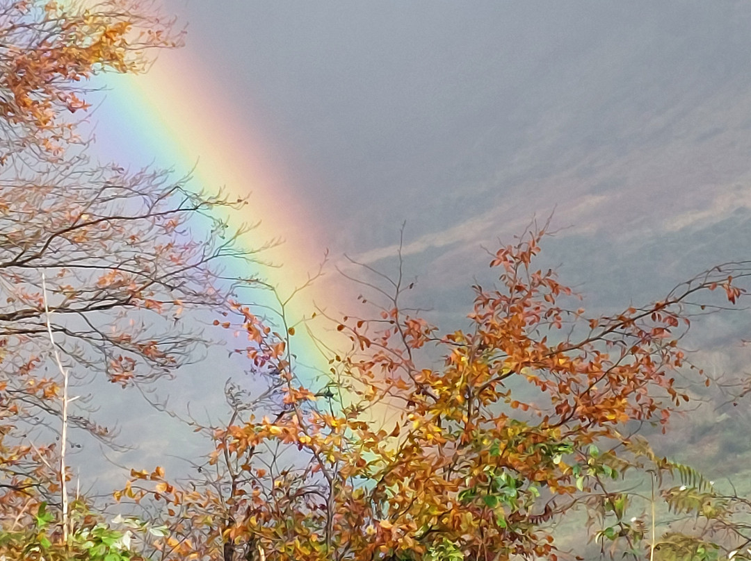 Glenariff Forest Park-County Antrim必去景点