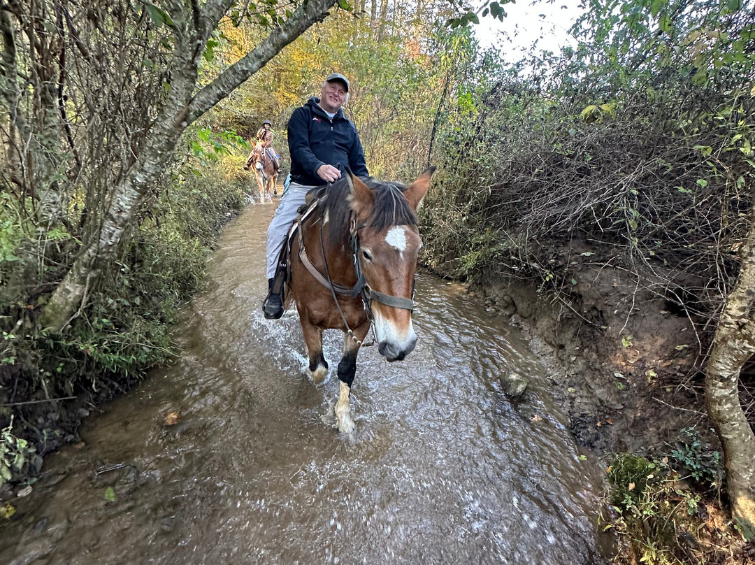 Appalachian Trail Rides-Mineral Bluff必去景点