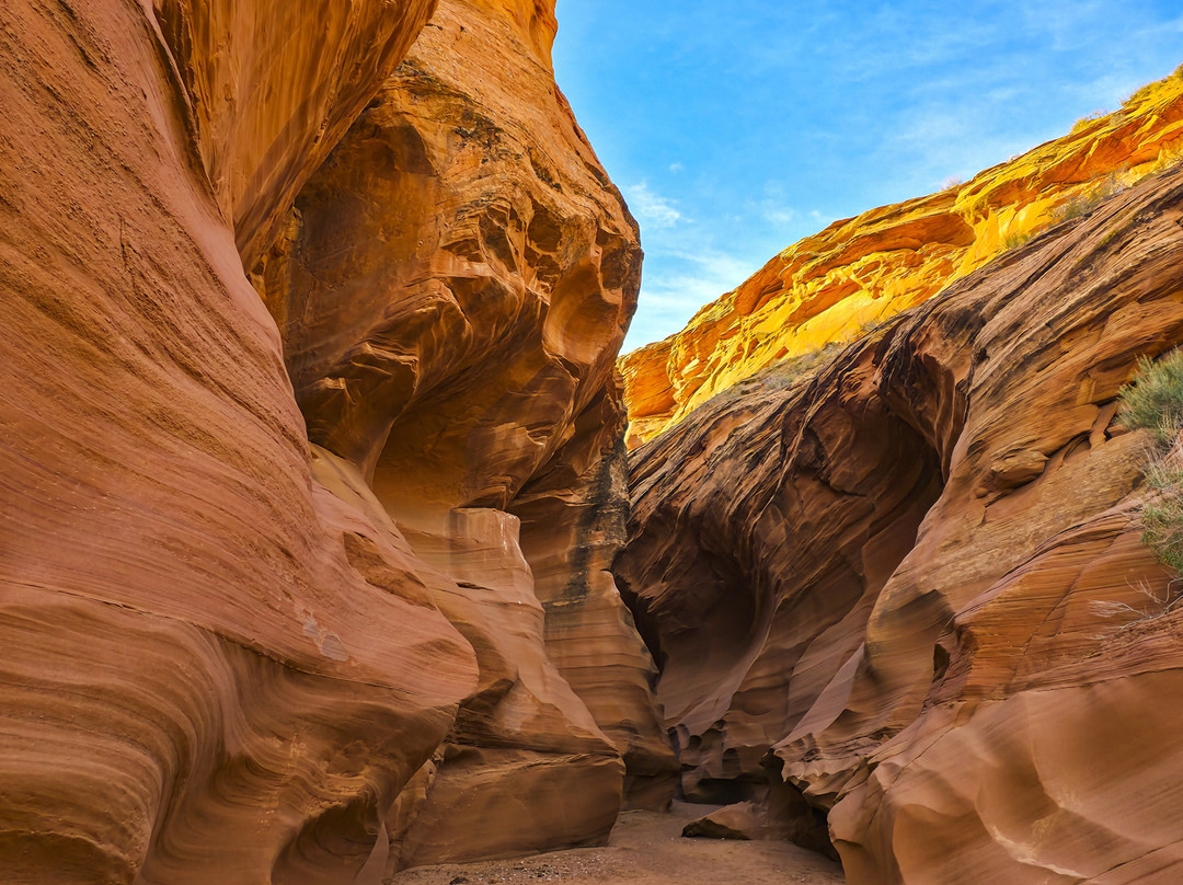 Black Streak Canyon Tours-佩吉必去景点