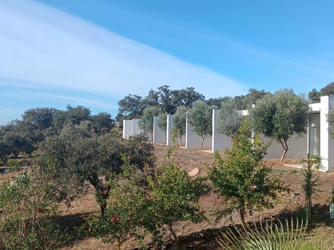 Montimerso Skyscape Country House主图