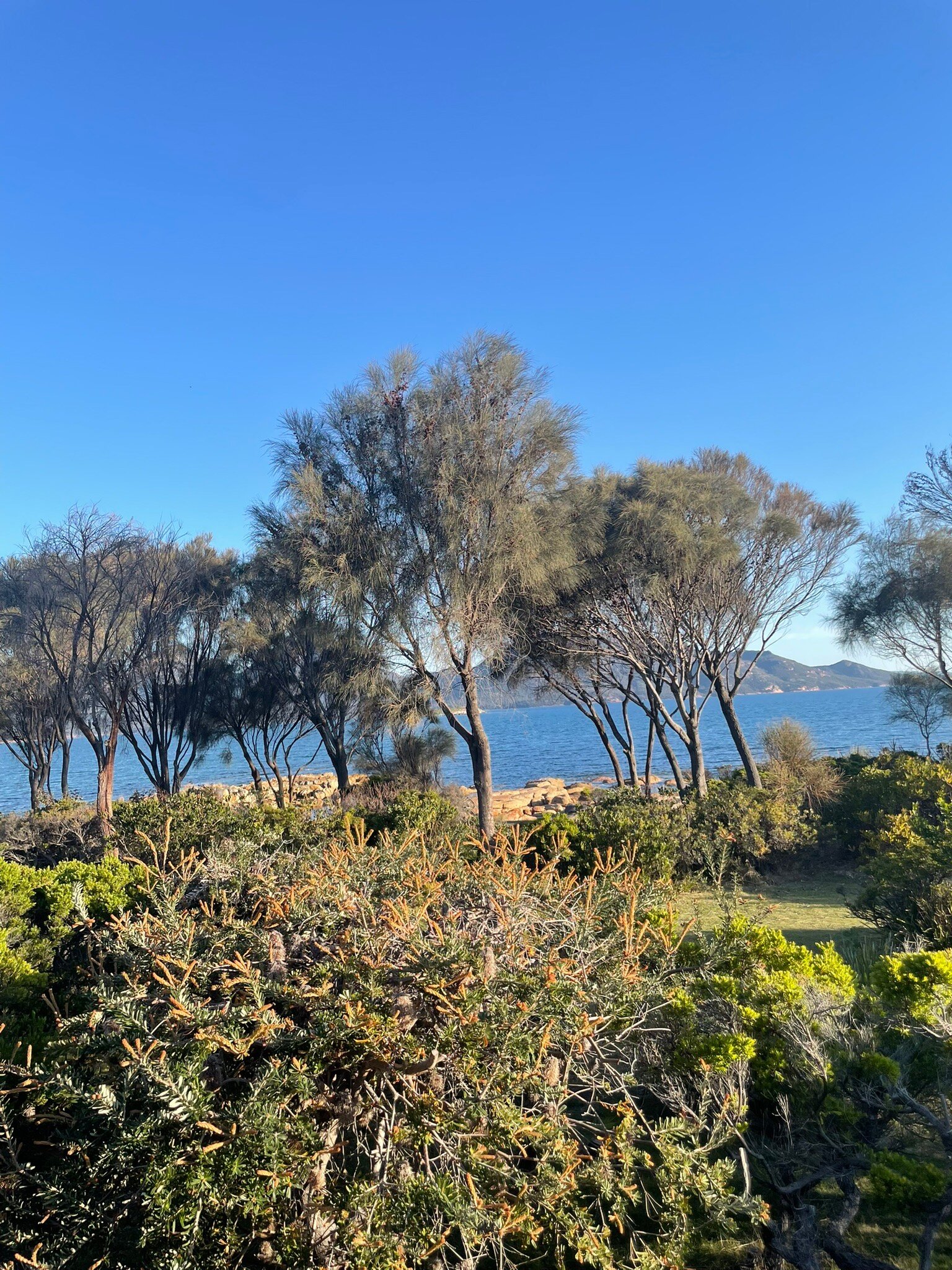 海湾边缘度假村-官方