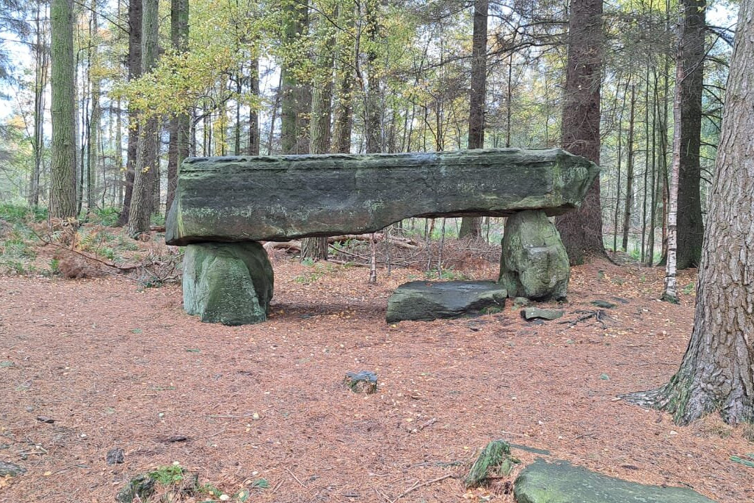 Druids Temple-里彭必去景点