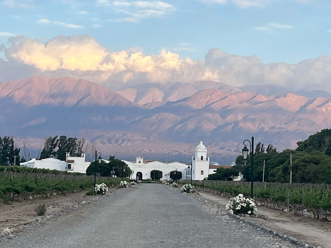Bodega El Esteco-卡法亚特必去景点