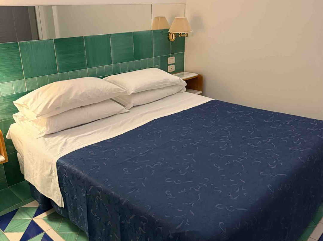 桑皮耶特洛大酒店主图