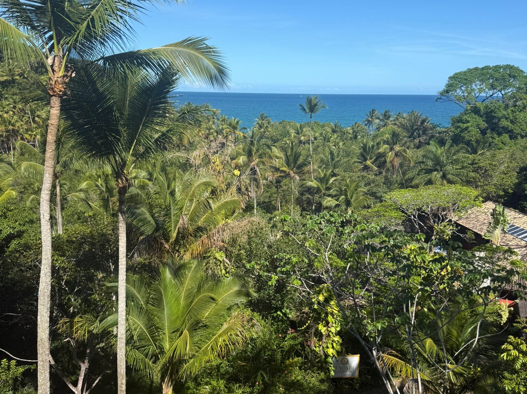 Itacare Eco Resort主图