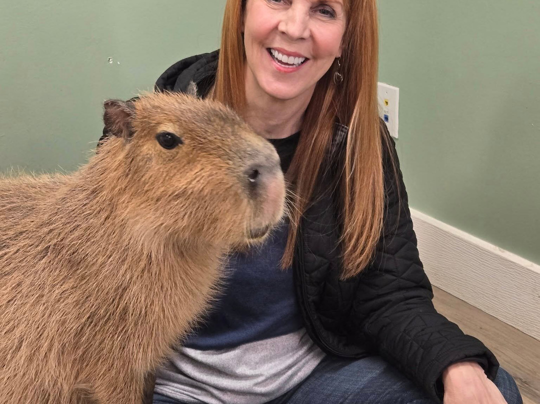 Tanganyika Wildlife Park-Goddard必去景点