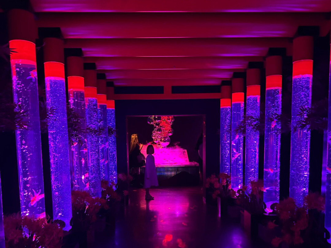 Art Aquarium-Ginza必去景点