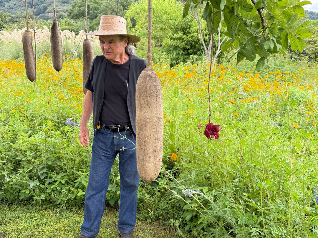 Dilao Sculpture Park-Tepoztlan必去景点