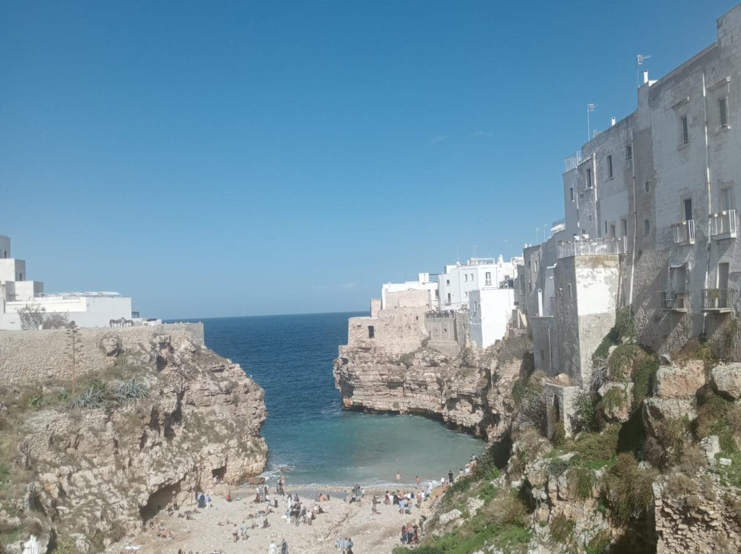 Ponte Borbonico di Lama Monachile-波利尼亚诺阿马雷必去景点