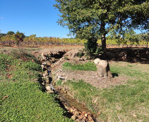 Château du Rouët-Le Muy必去景点