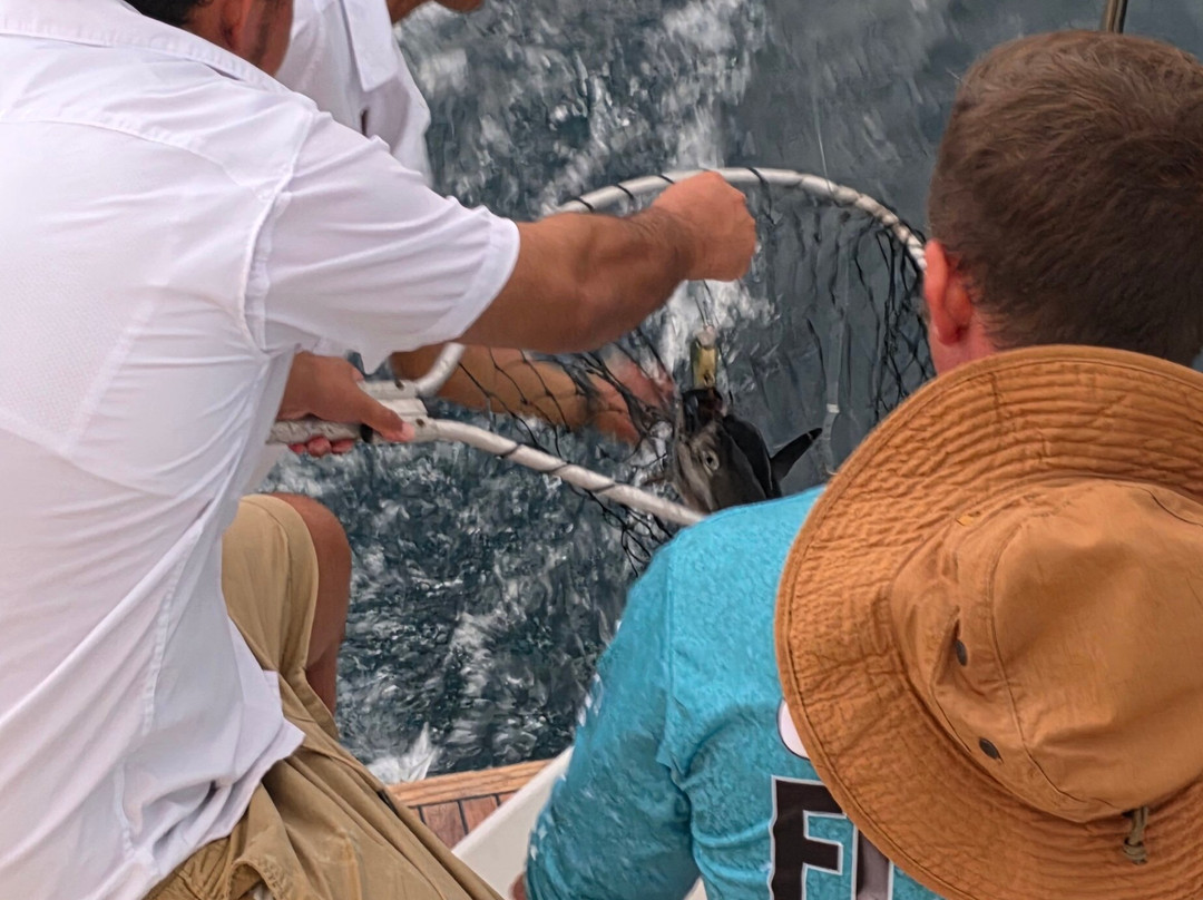 Scubacaribe, Costa Rica-Playa Matapalo必去景点